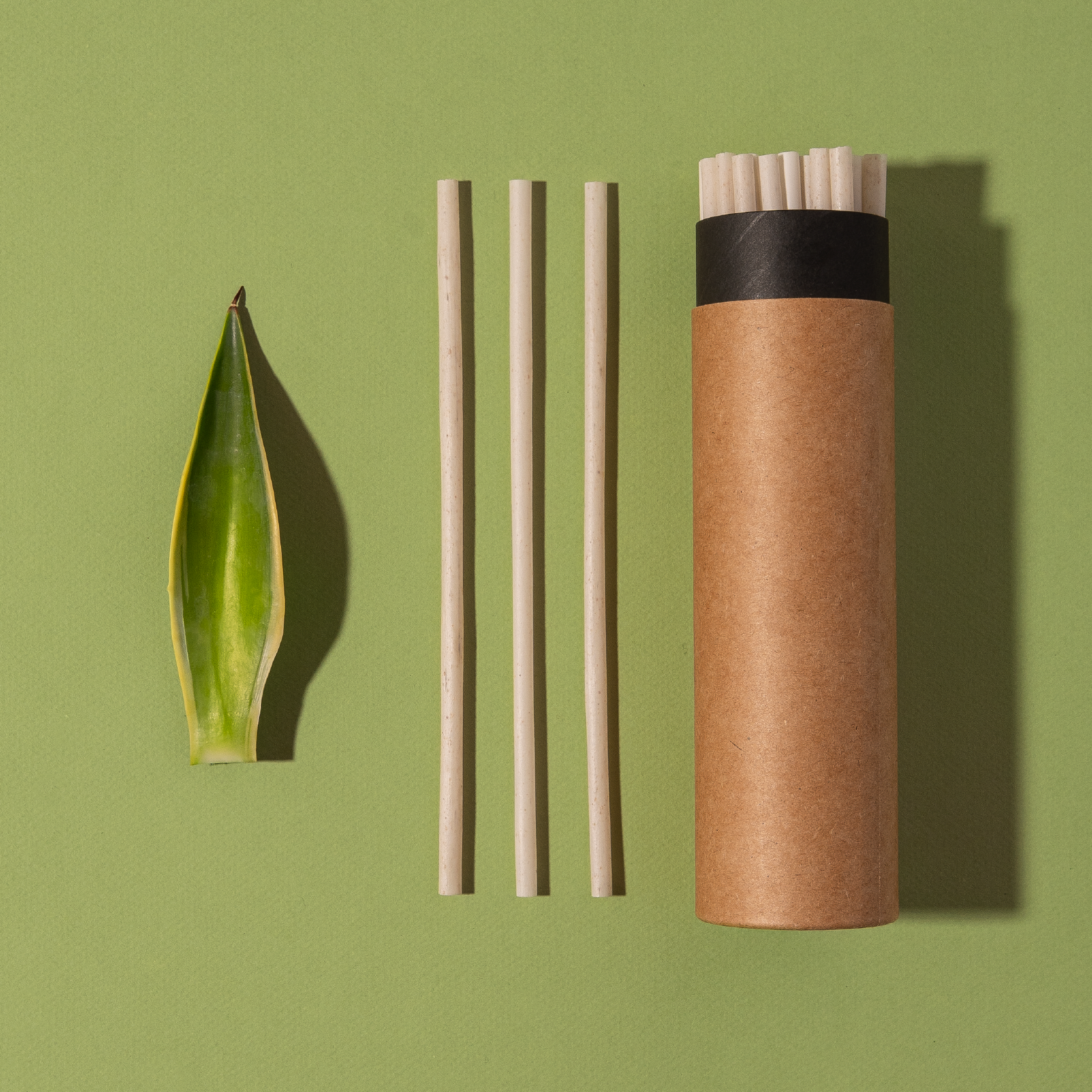 Compostable agave straws next to agave leaf and kraft carrying case
