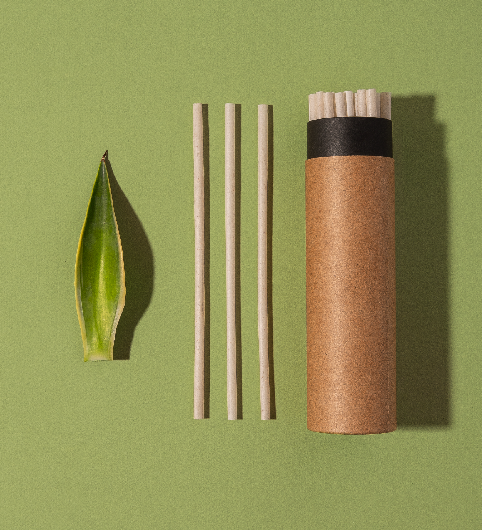 Compostable agave straws next to agave leaf and kraft carrying case