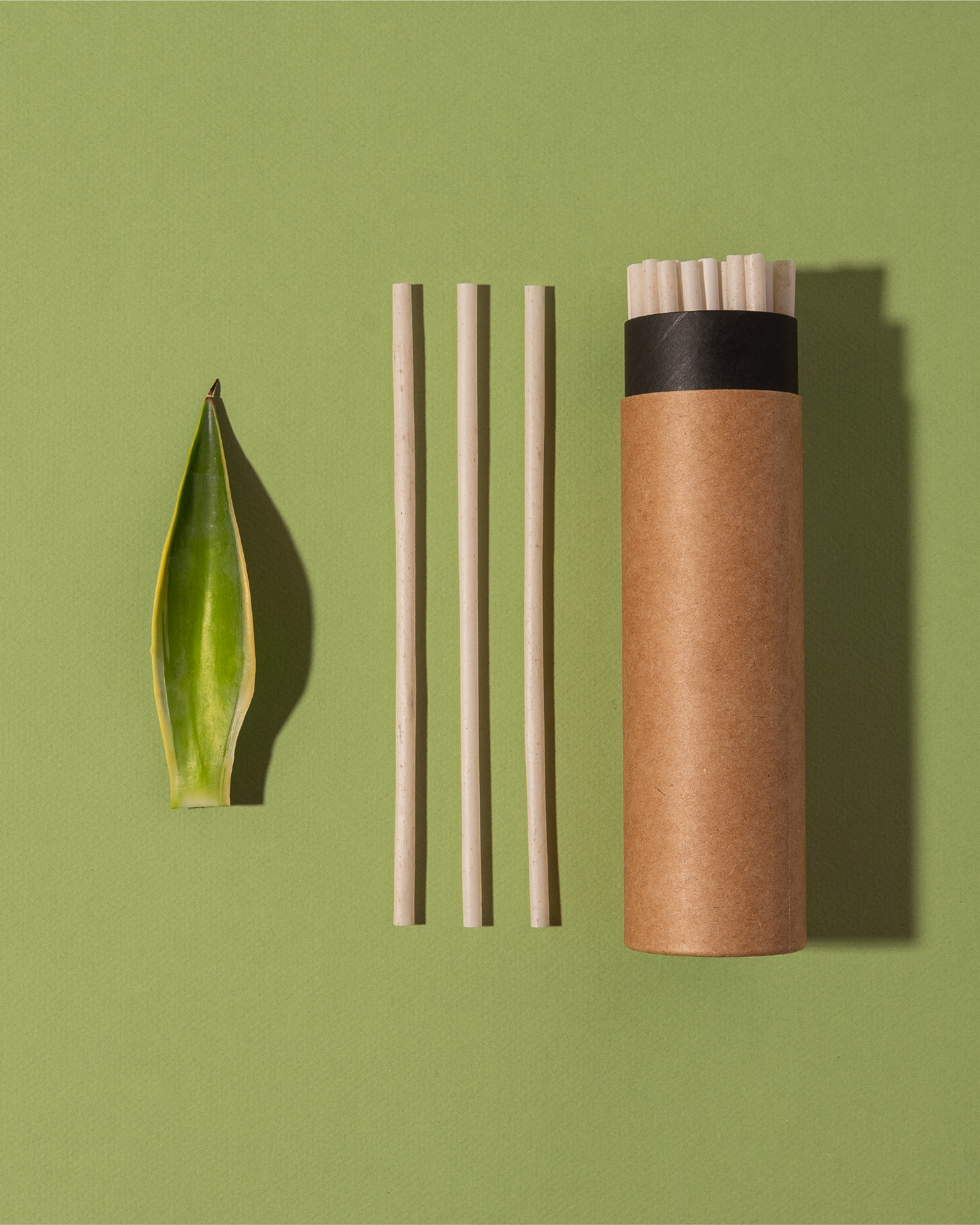 agave compostable straws - small case (8