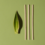 compostable reusable agave straws next to an agave plant leaf