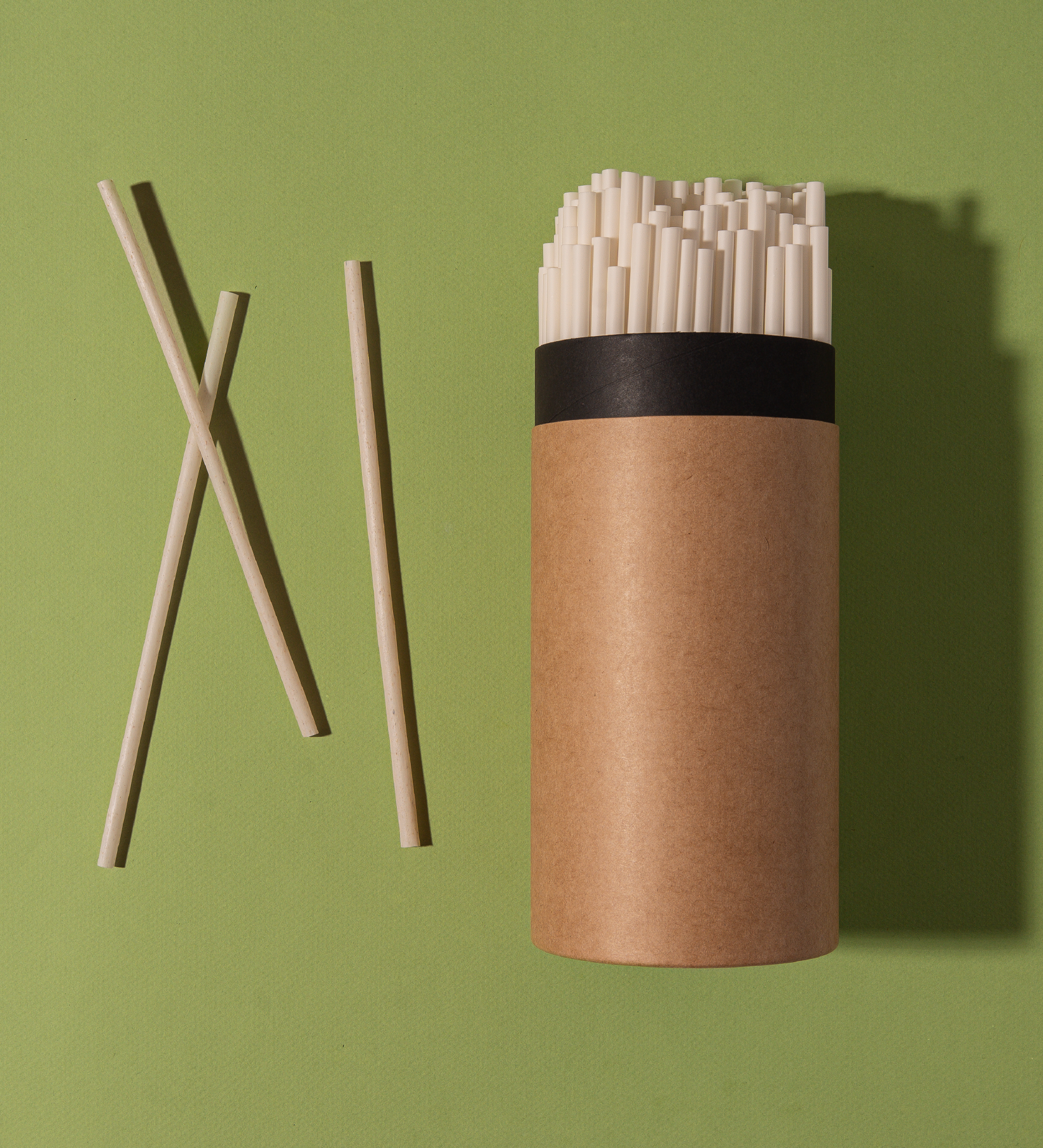 Compostable agave straws next to kraft carrying case